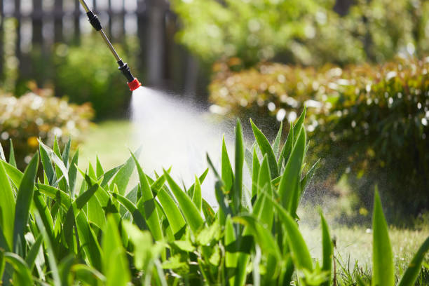 Tamper-Resistant Bait Stations for Rodents in Mountain City