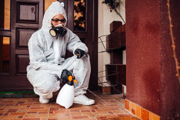 Attic and Crawl Space Rodent Treatment in Mountain City